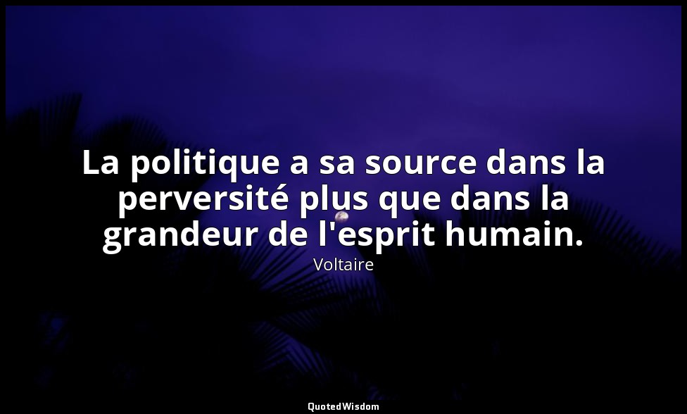 La politique a sa source dans la perversité plus que dans la grandeur de l'espri — Voltaire