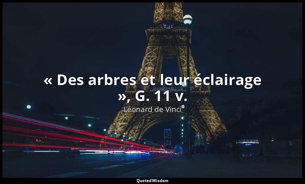 « Des arbres et leur éclairage », G. 11 v. — Léonard de Vinci