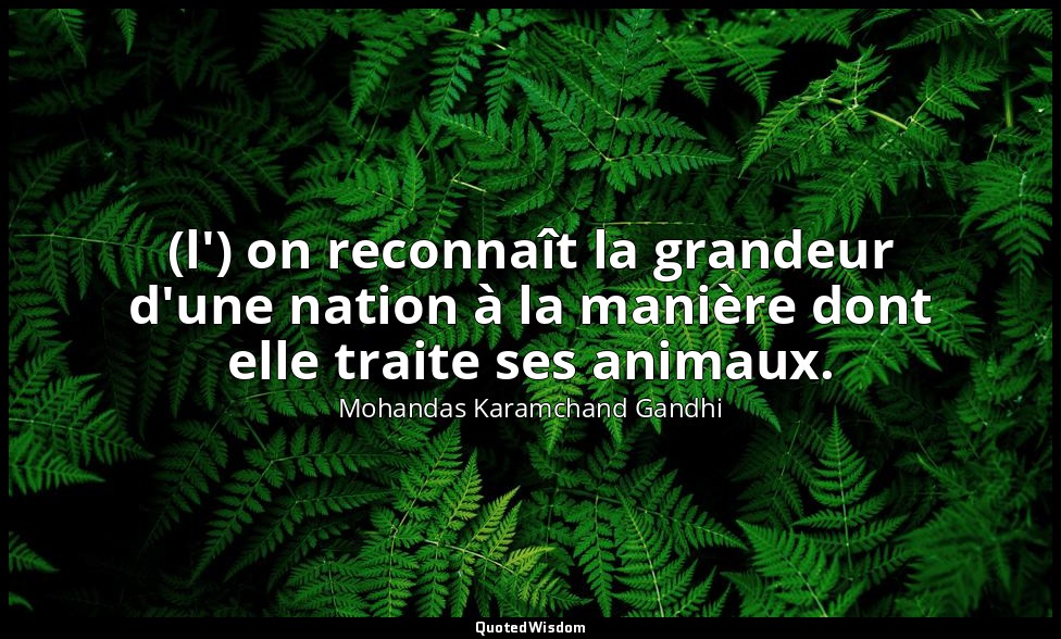 (l') on reconnaît la grandeur d'une nation à la manière dont elle traite ses ani — Mohandas Karamchand Gandhi