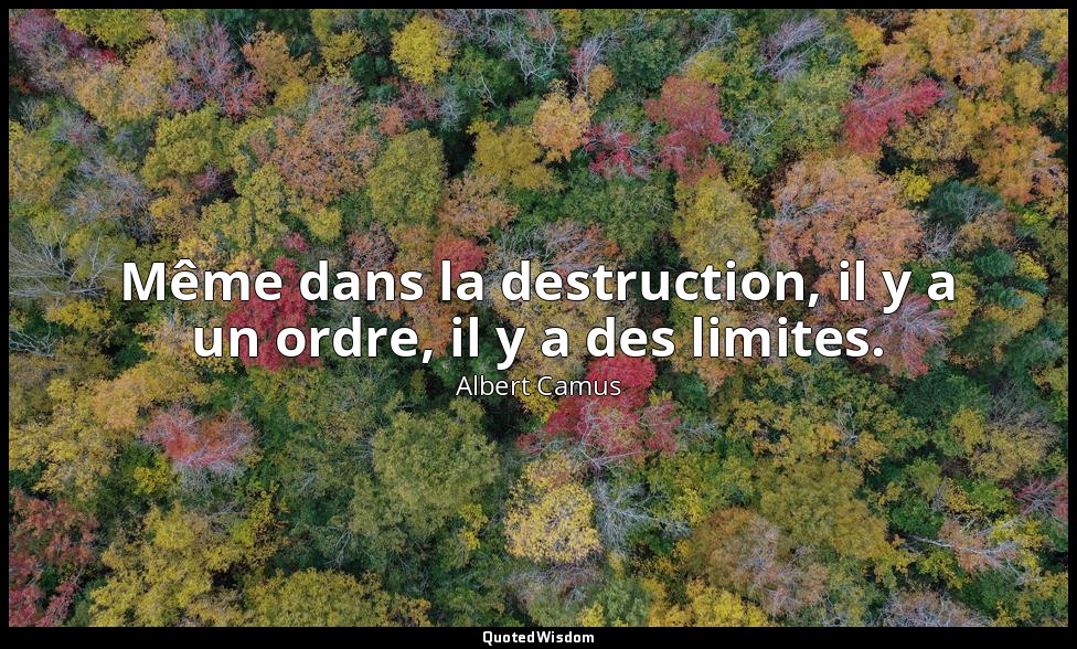 Même dans la destruction, il y a un ordre, il y a des limites. — Albert Camus