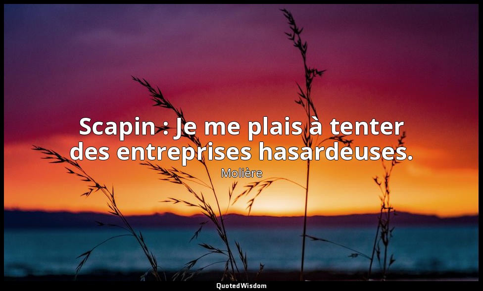 Scapin : Je me plais à tenter des entreprises hasardeuses. — Molière
