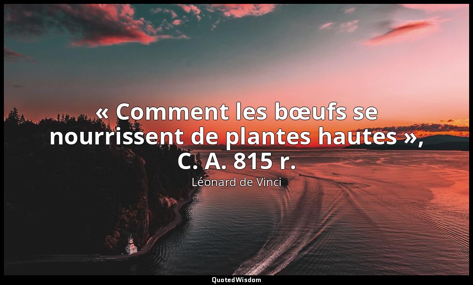 « Comment les bœufs se nourrissent de plantes hautes », C. A. 815 r. — Léonard de Vinci