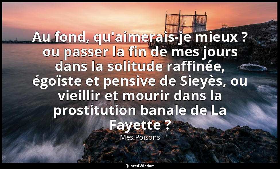 Au fond, qu'aimerais-je mieux ? ou passer la fin de mes jours dans la solitude r — Mes Poisons