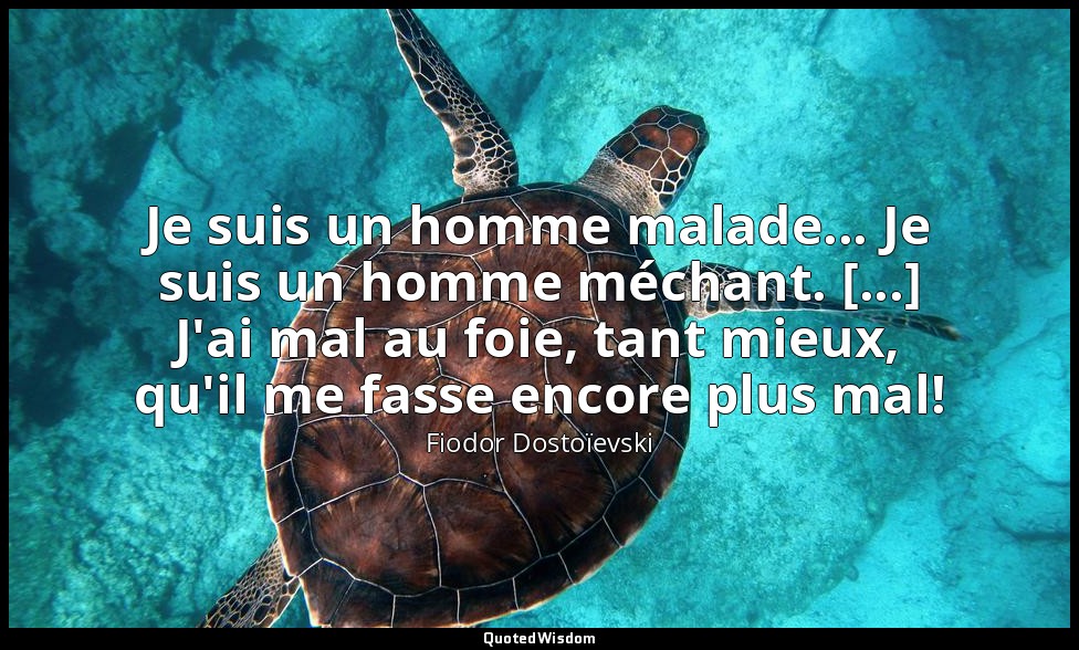 Je suis un homme malade... Je suis un homme méchant. [...] J'ai mal au foie, tan — Fiodor Dostoïevski