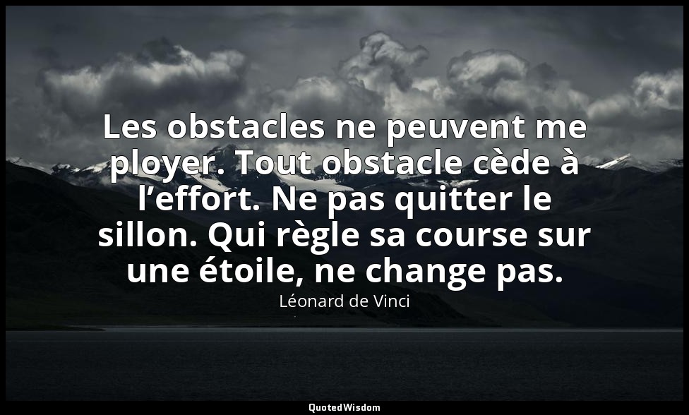 Les obstacles ne peuvent me ployer. Tout obstacle cède à l’effort. Ne pas quitte — Léonard de Vinci