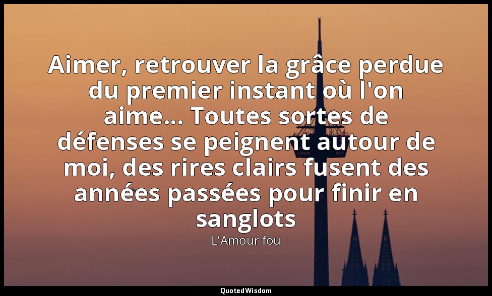 Aimer, retrouver la grâce perdue du premier instant où l'on aime... Toutes sorte — L'Amour fou