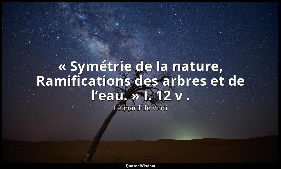 « Symétrie de la nature, Ramifications des arbres et de l’eau. » I. 12 v . — Léonard de Vinci