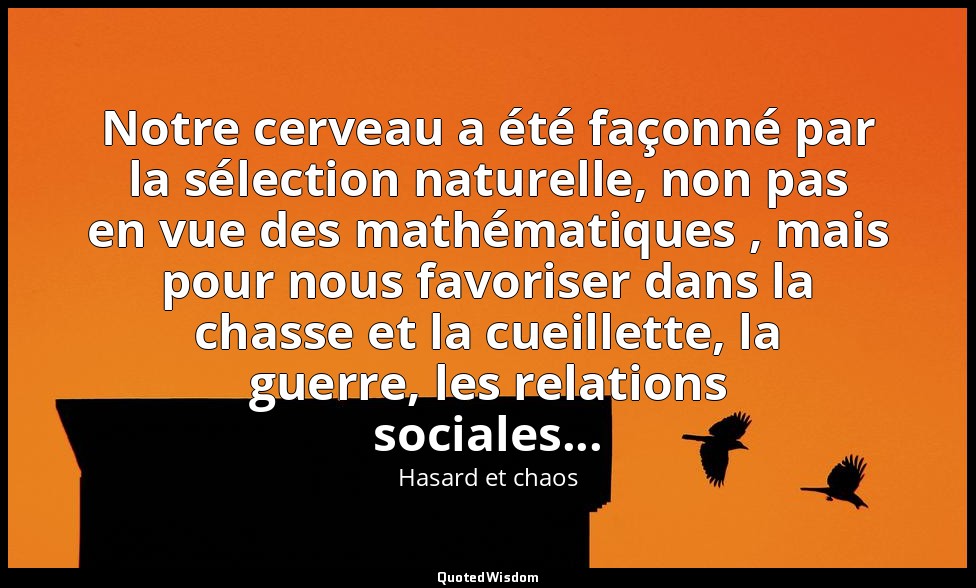 Notre cerveau a été façonné par la sélection naturelle, non pas en vue des mathé — Hasard et chaos