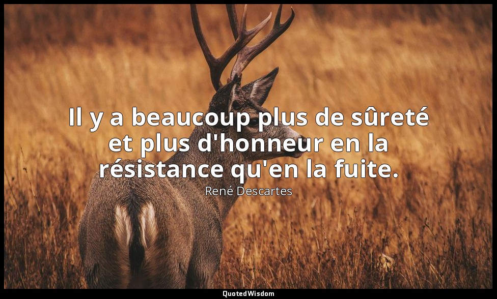 Il y a beaucoup plus de sûreté et plus d'honneur en la résistance qu'en la fuite — René Descartes