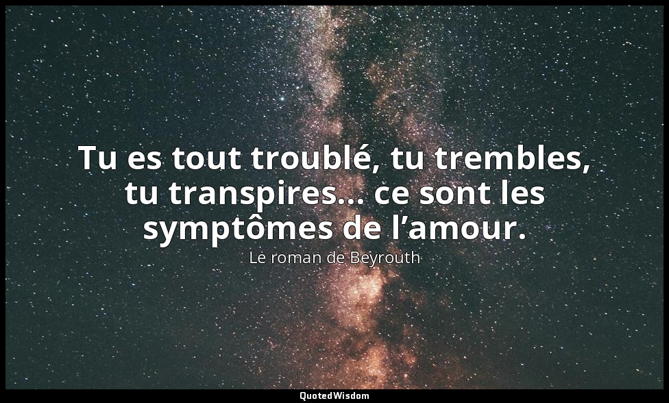 Tu es tout troublé, tu trembles, tu transpires... ce sont les symptômes de l’amo — Le roman de Beyrouth