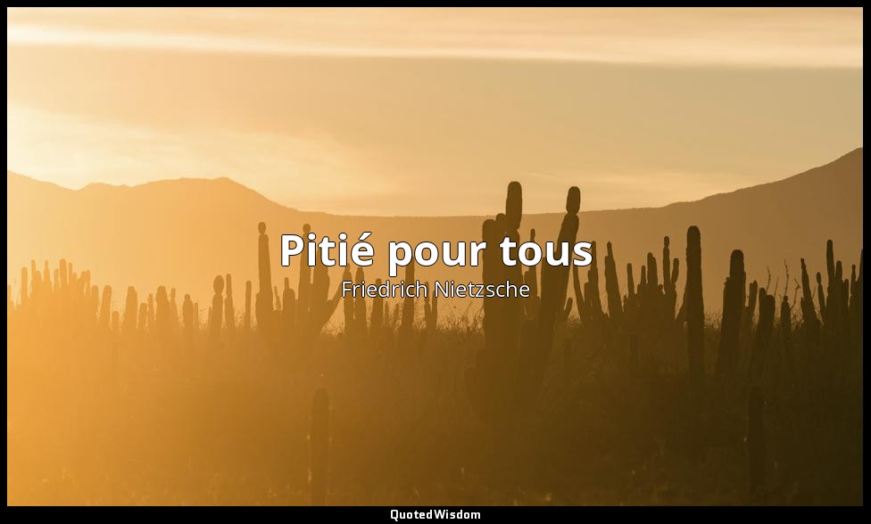 Pitié pour tous — Friedrich Nietzsche