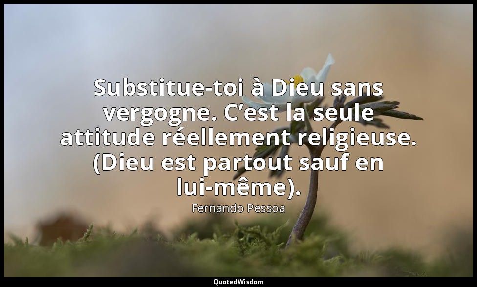 Substitue-toi à Dieu sans vergogne. C’est la seule attitude réellement religieus — Fernando Pessoa