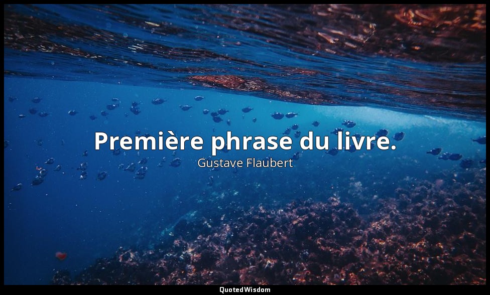 Première phrase du livre. — Gustave Flaubert