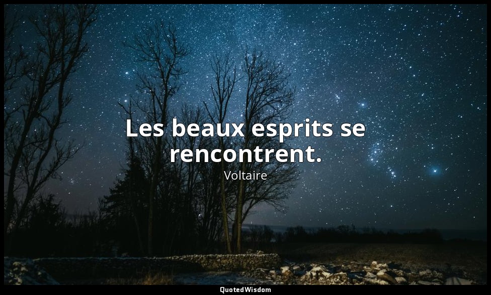 Les beaux esprits se rencontrent. — Voltaire