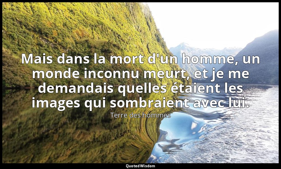 Mais dans la mort d'un homme, un monde inconnu meurt, et je me demandais quelles — Terre des hommes