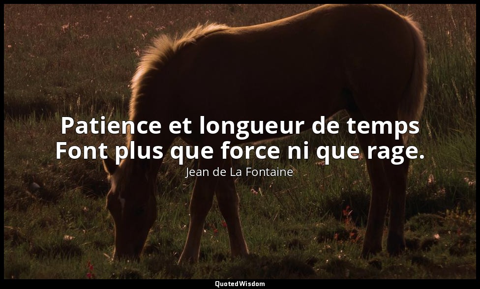 Patience et longueur de temps Font plus que force ni que rage. — Jean de La Fontaine