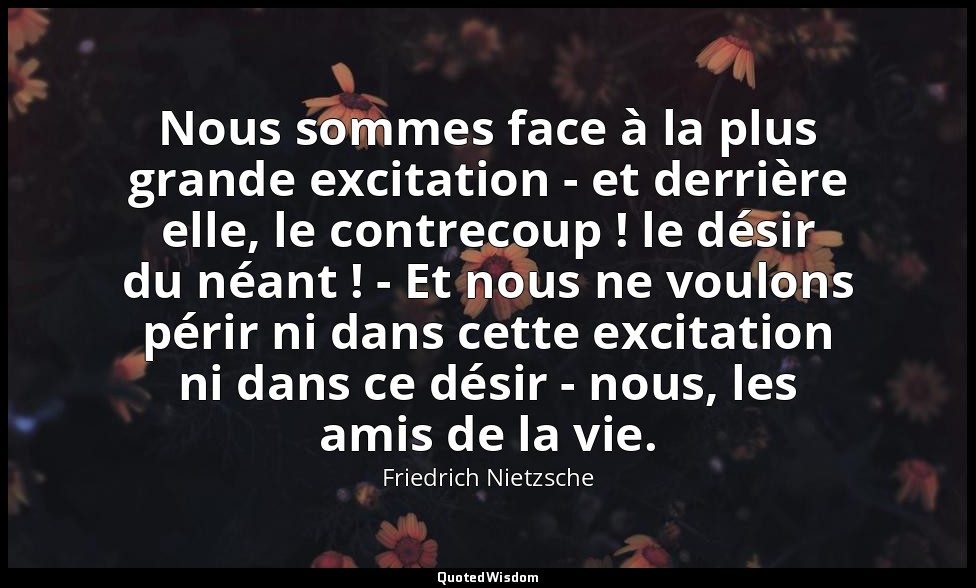 Nous sommes face à la plus grande excitation - et derrière elle, le contrecoup ! — Friedrich Nietzsche