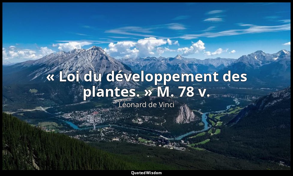 « Loi du développement des plantes. » M. 78 v. — Léonard de Vinci