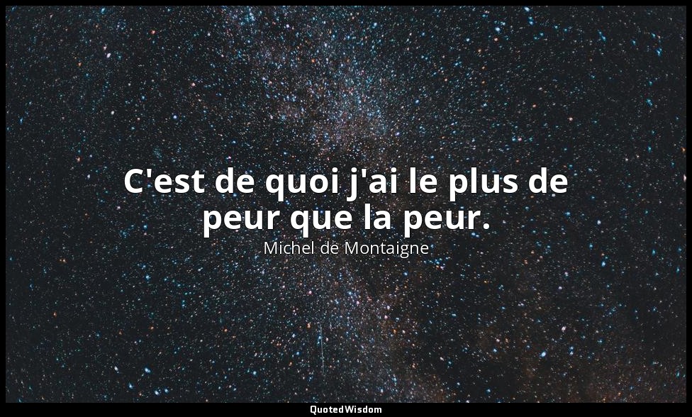 C'est de quoi j'ai le plus de peur que la peur. — Michel de Montaigne