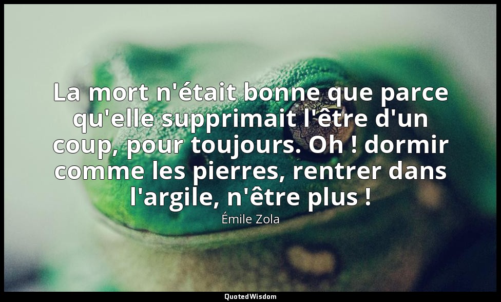 La mort n'était bonne que parce qu'elle supprimait l'être d'un coup, pour toujou — Émile Zola
