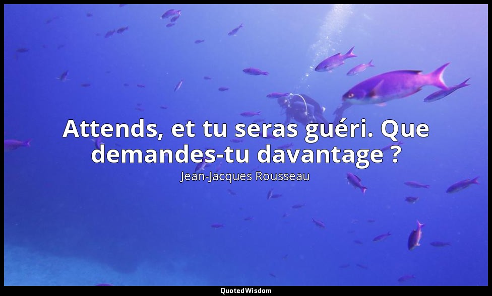 Attends, et tu seras guéri. Que demandes-tu davantage ? — Jean-Jacques Rousseau