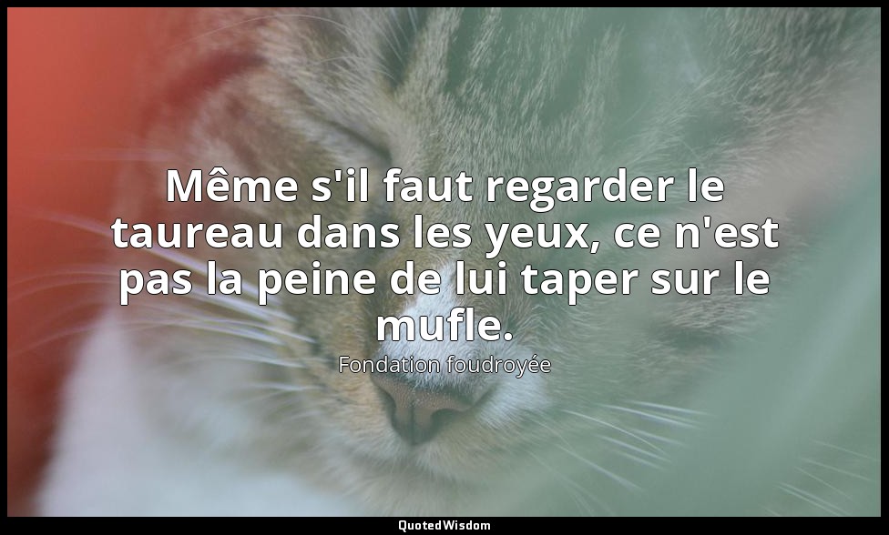 Même s'il faut regarder le taureau dans les yeux, ce n'est pas la peine de lui t — Fondation foudroyée