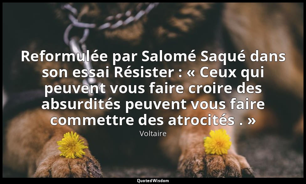 Reformulée par Salomé Saqué dans son essai Résister : « Ceux qui peuvent vous fa — Voltaire