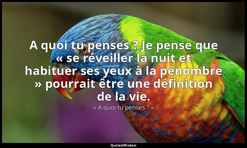 A quoi tu penses ? Je pense que « se réveiller la nuit et habituer ses yeux à la — « A quoi tu penses ? »