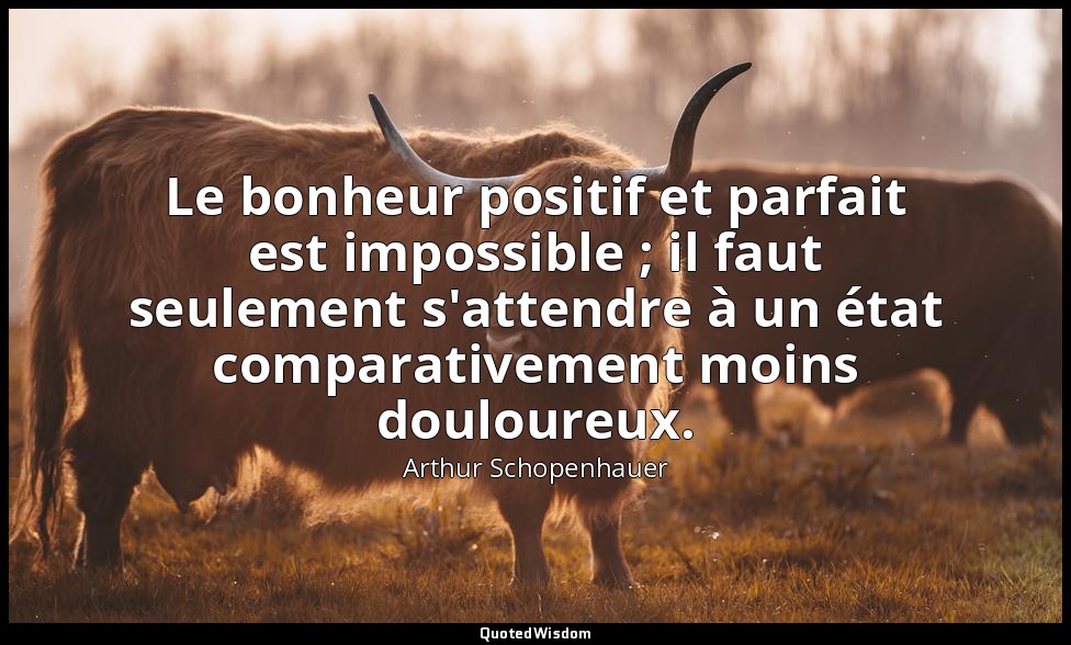 Le bonheur positif et parfait est impossible ; il faut seulement s'attendre à un — Arthur Schopenhauer