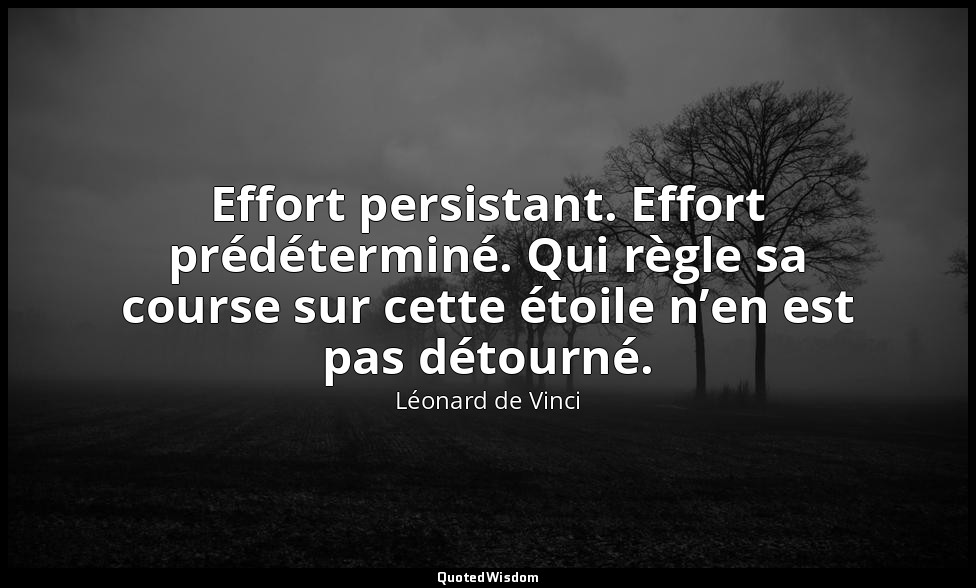 Effort persistant. Effort prédéterminé. Qui règle sa course sur cette étoile n’e — Léonard de Vinci