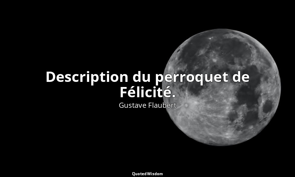 Description du perroquet de Félicité. — Gustave Flaubert