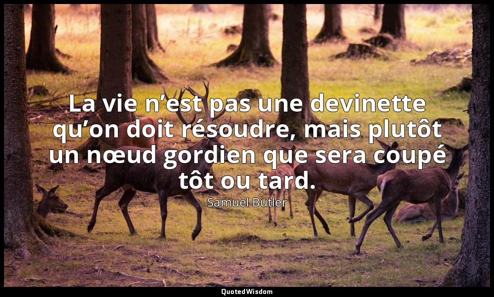 La vie n’est pas une devinette qu’on doit résoudre, mais plutôt un nœud gordien  — Samuel Butler