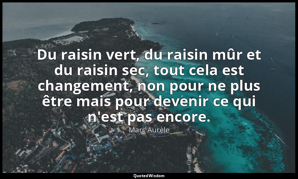 Du raisin vert, du raisin mûr et du raisin sec, tout cela est changement, non po — Marc Aurèle