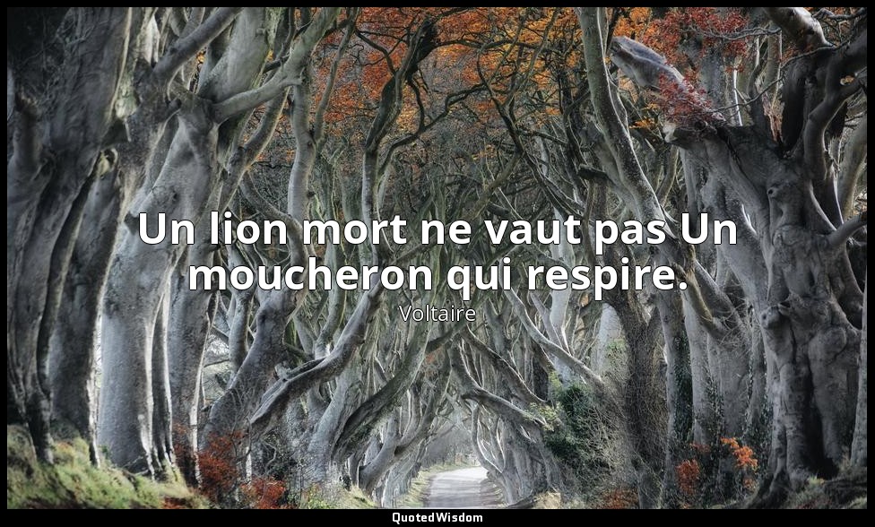 Un lion mort ne vaut pas Un moucheron qui respire. — Voltaire