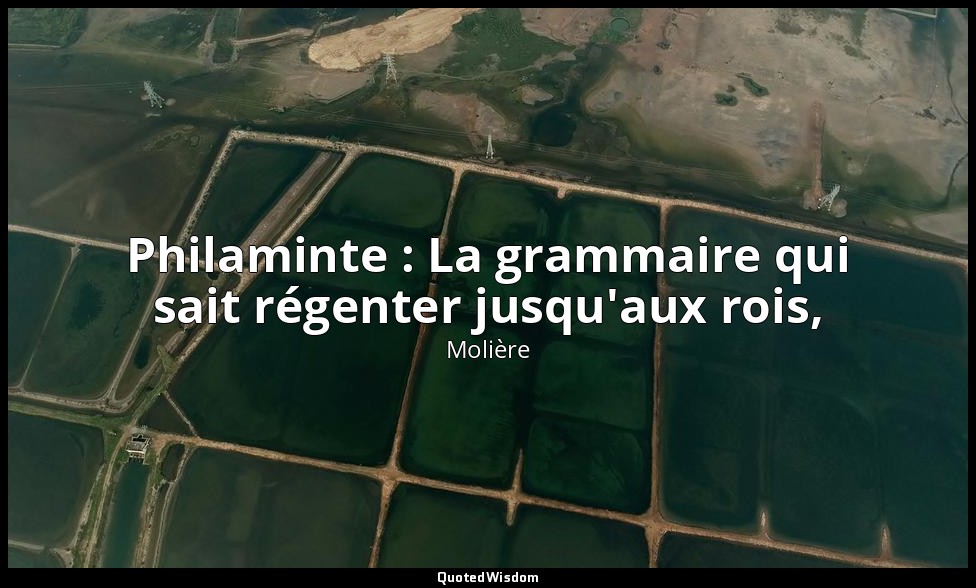 Philaminte : La grammaire qui sait régenter jusqu'aux rois, — Molière