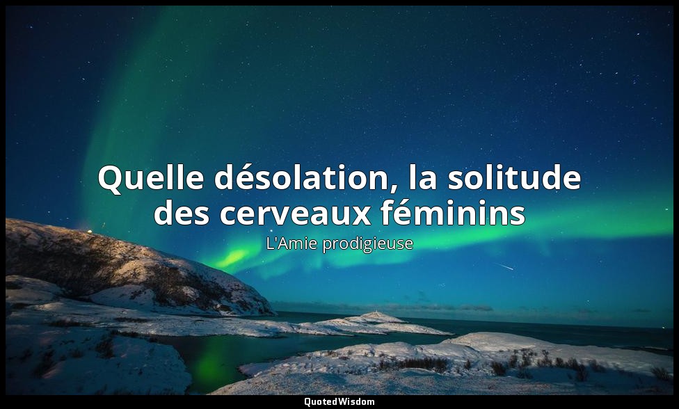 Quelle désolation, la solitude des cerveaux féminins — L'Amie prodigieuse