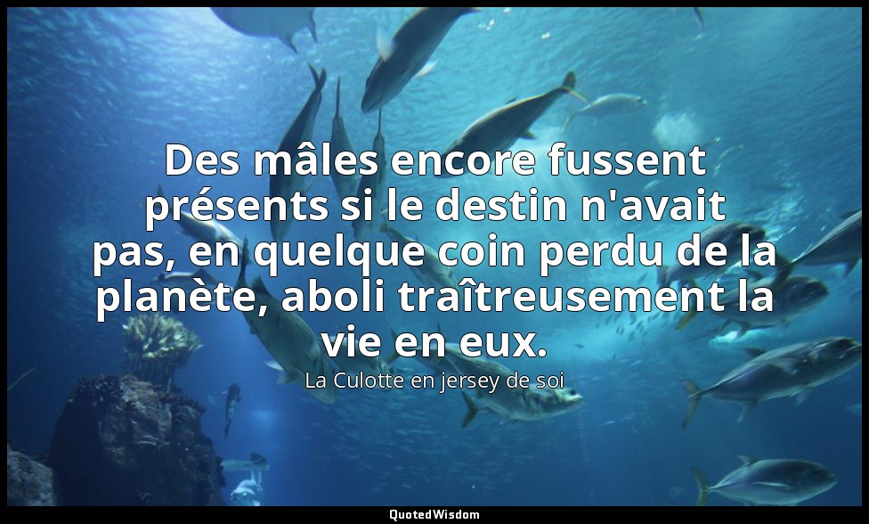 Des mâles encore fussent présents si le destin n'avait pas, en quelque coin perd — La Culotte en jersey de soi