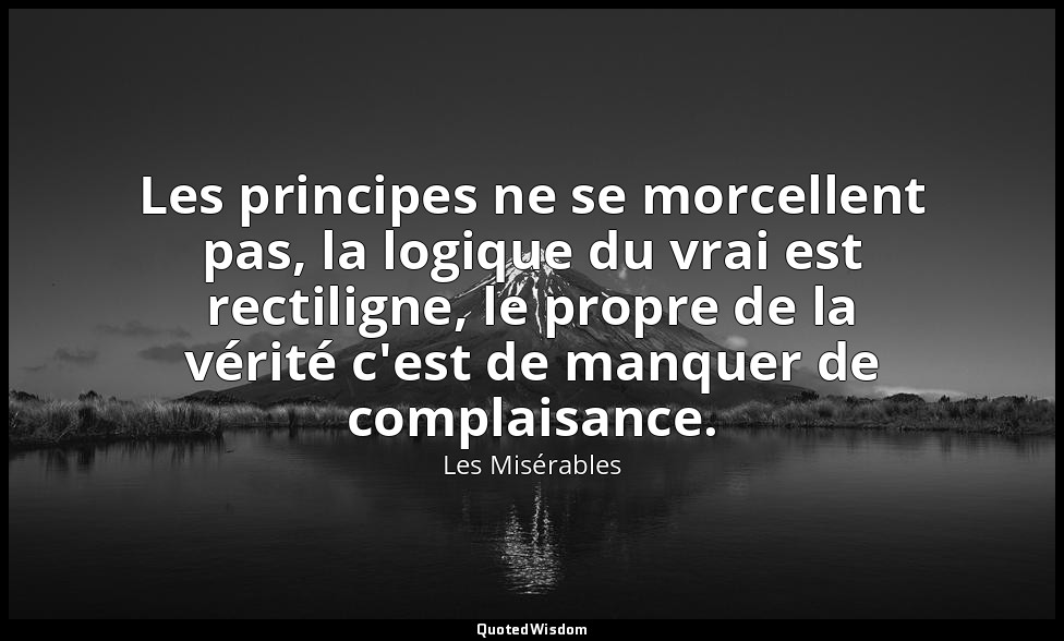 Les principes ne se morcellent pas, la logique du vrai est rectiligne, le propre — Les Misérables