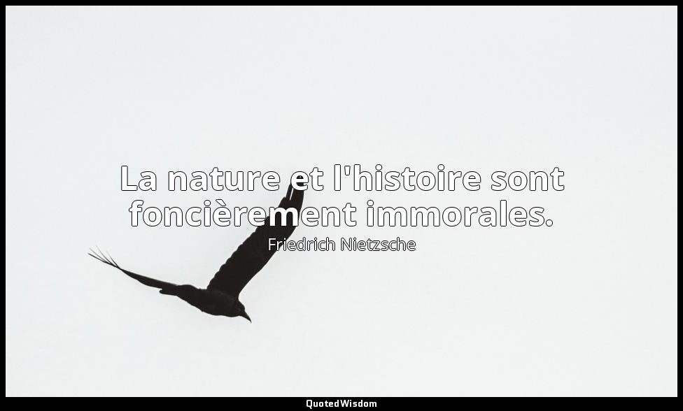 La nature et l'histoire sont foncièrement immorales. — Friedrich Nietzsche