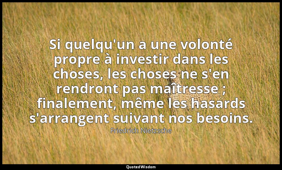 Si quelqu'un a une volonté propre à investir dans les choses, les choses ne s'en — Friedrich Nietzsche