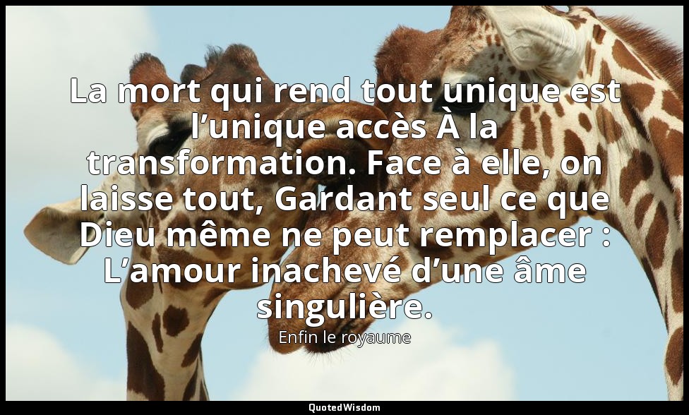 La mort qui rend tout unique est l’unique accès À la transformation. Face à elle — Enfin le royaume