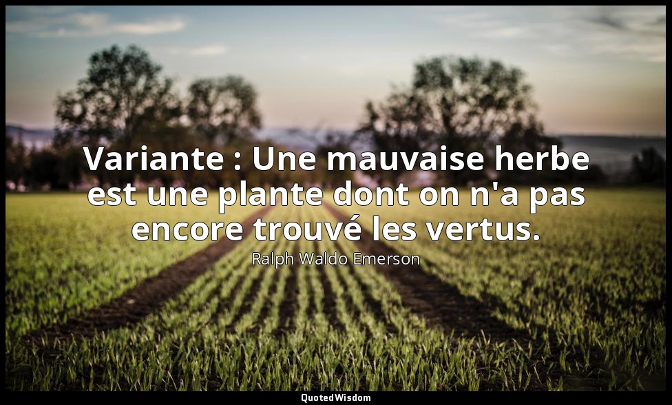 Variante : Une mauvaise herbe est une plante dont on n'a pas encore trouvé les v — Ralph Waldo Emerson