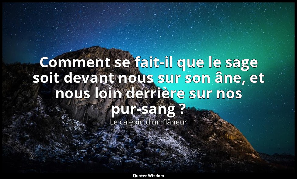 Comment se fait-il que le sage soit devant nous sur son âne, et nous loin derriè — Le calepin d'un flâneur‎
