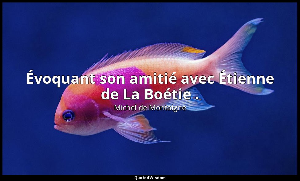 Évoquant son amitié avec Étienne de La Boétie . — Michel de Montaigne