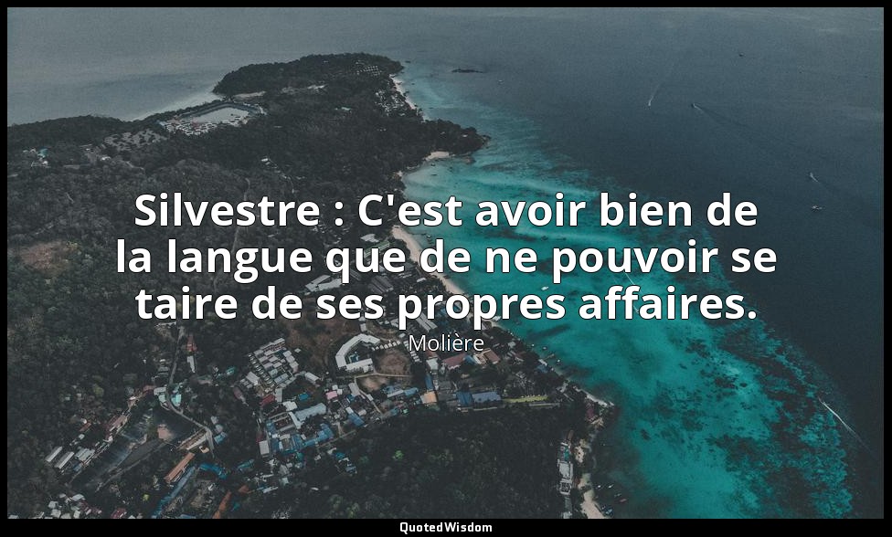 Silvestre : C'est avoir bien de la langue que de ne pouvoir se taire de ses prop — Molière