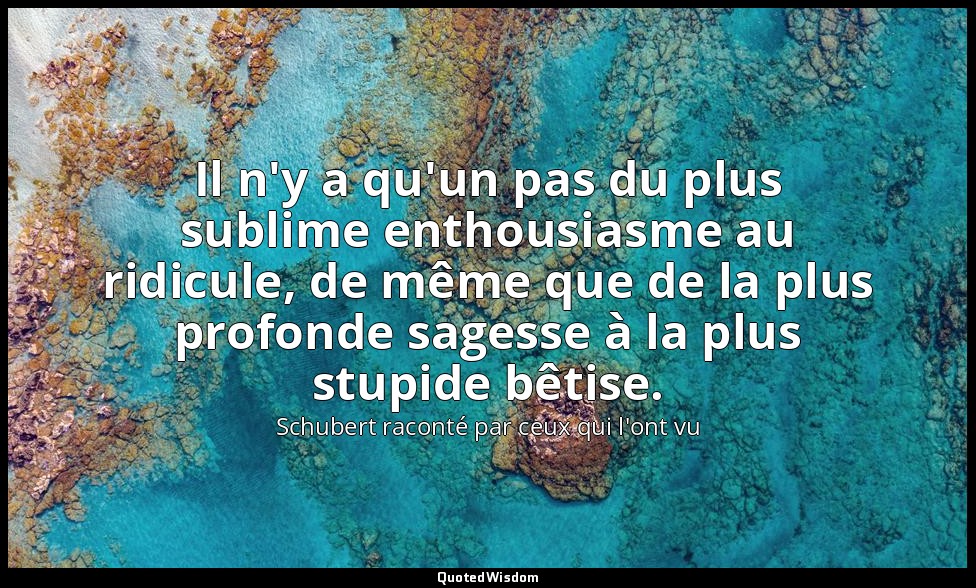 Il n'y a qu'un pas du plus sublime enthousiasme au ridicule, de même que de la p — Schubert raconté par ceux qui l'ont vu