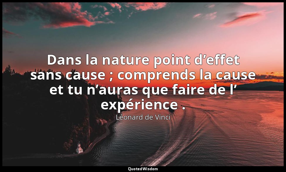 Dans la nature point d’effet sans cause ; comprends la cause et tu n’auras que f — Léonard de Vinci