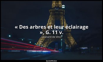 « Des arbres et leur éclairage », G. 11 v. — Léonard de Vinci