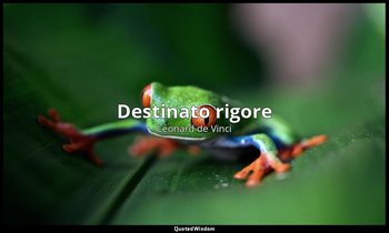 « Destinato rigore » — Léonard de Vinci