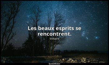 Les beaux esprits se rencontrent. — Voltaire